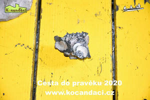 /galerie/2020-cesta-do-praveku/DSC_0875.jpg